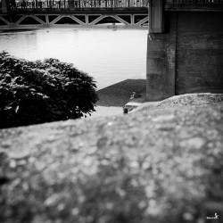 Instants toulousains 8
