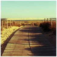 cap-ferret