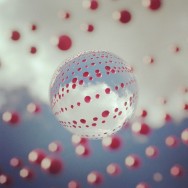 Bubulles québécois