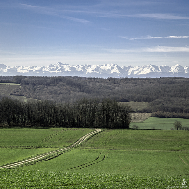 Matin de printemps